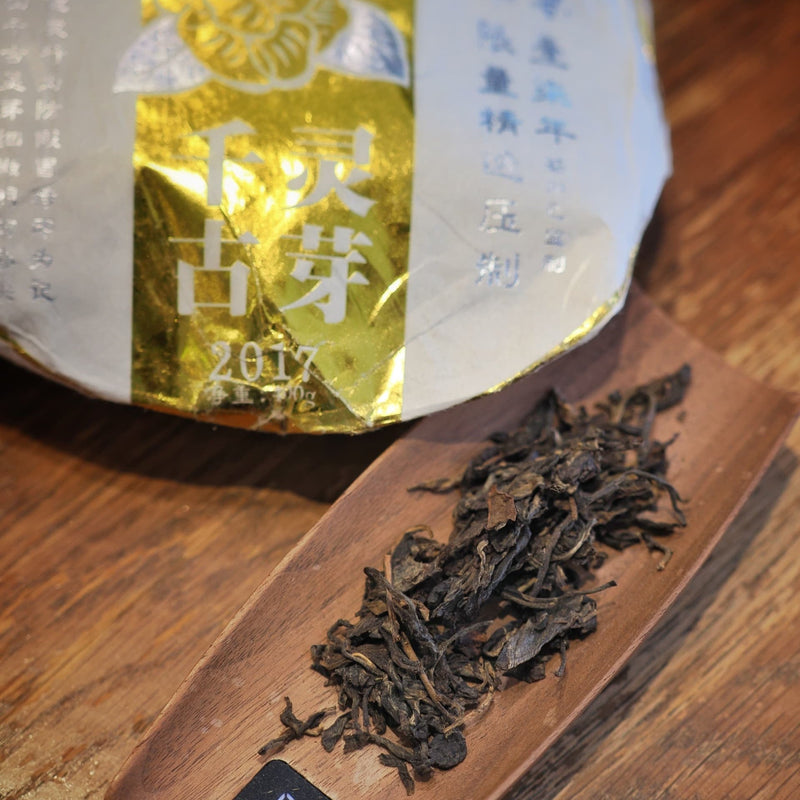 Sheng Pu‑erh: The Living Tea of Time and Tradition