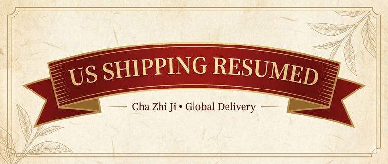 Update: Shipping to the United States Resumed (Duties & Taxes Policy)