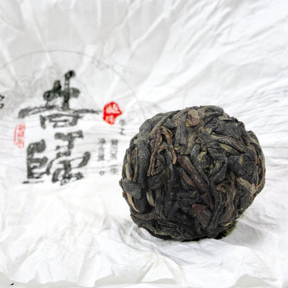 Close-up of unwrapped Xi Gui (昔归) Ancient Tree Raw Pu’er Tea ball showing dry leaf texture on traditional wrapper