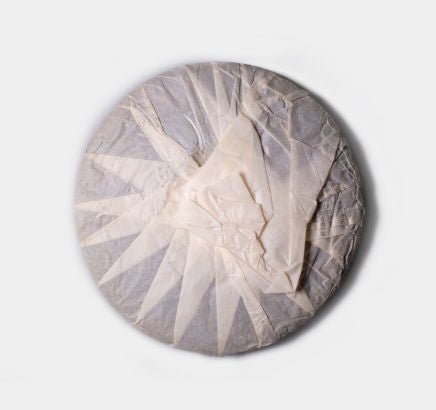 Back packaging of Bu Lang Zheng Shan Sheng Pu-erh tea from 2008 by Cha Zhi Ji