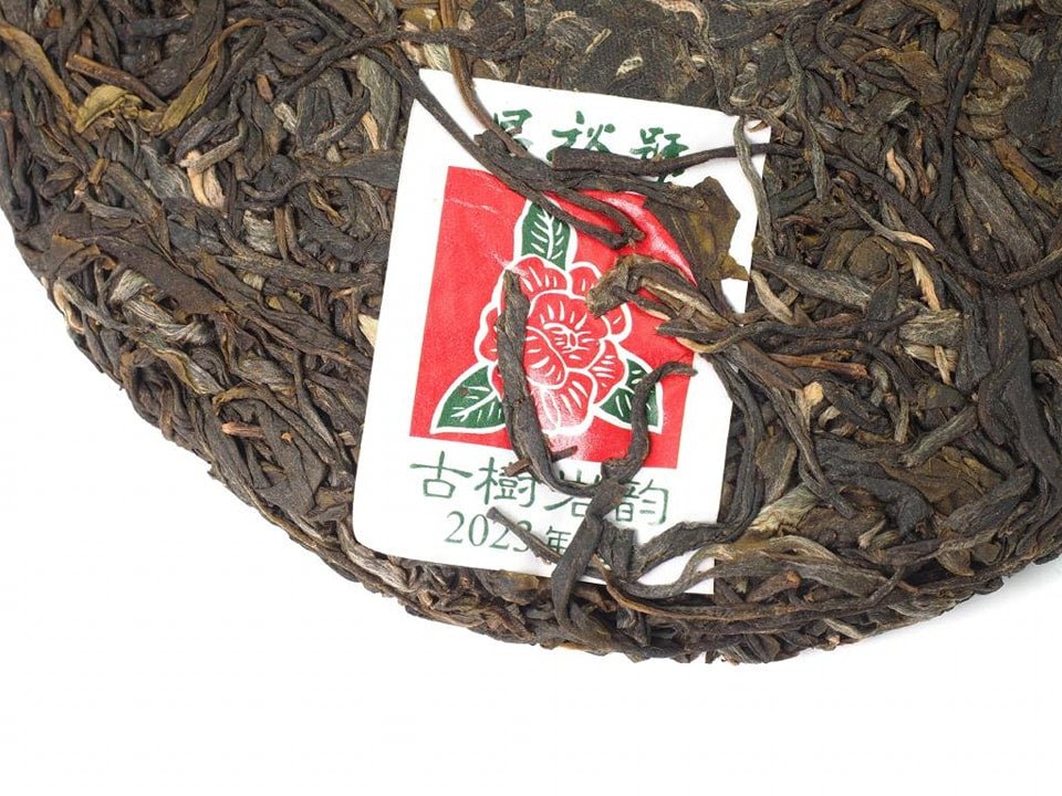 Tea cake of Yan Yun Gu Shu Sheng Pu-Erh tea from 2023 by Cha Zhi Ji