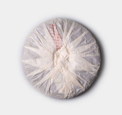 Yi Wu Zheng Shan Sheng Pu-Erh tea from 2008 by Cha Zhi Ji